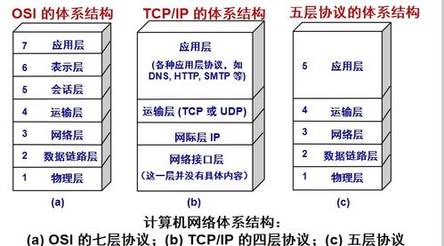 計算機網絡與計算機系統服務 構建數字世界的基石